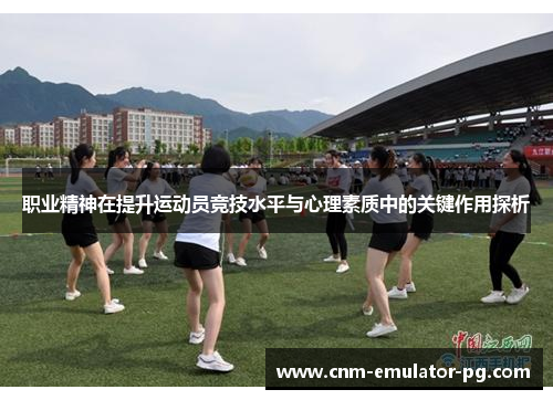 职业精神在提升运动员竞技水平与心理素质中的关键作用探析