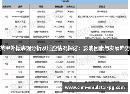 英甲外援表现分析及适应情况探讨：影响因素与发展趋势