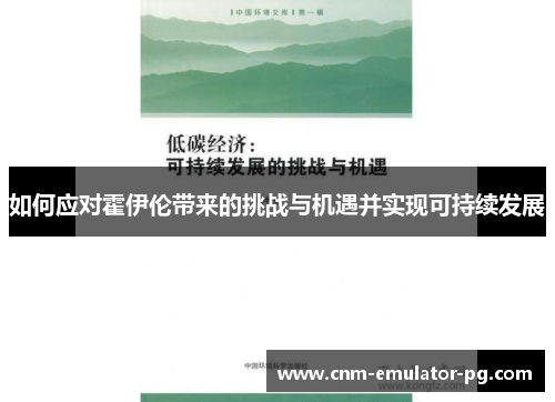 如何应对霍伊伦带来的挑战与机遇并实现可持续发展