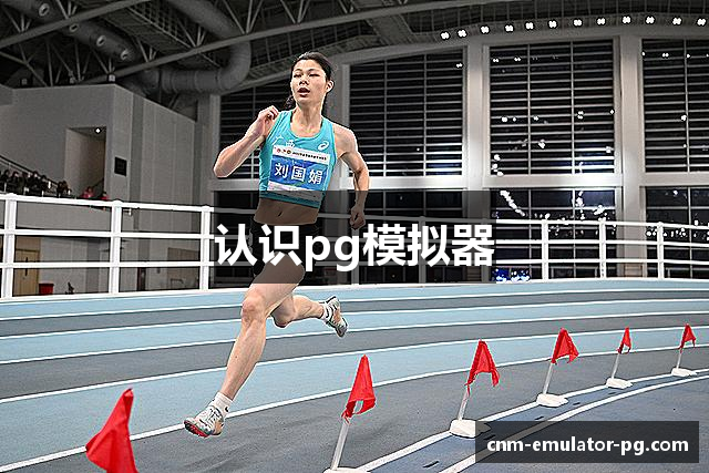 认识pg模拟器